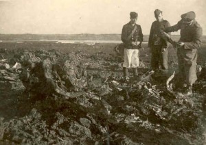 en Duitse officier en twee soldaten onderzoeken de wrakstukken van de op het Neerlands Reid (vennoot) neergestorte bommenwerper Short Stirling III BF457 LS-B. Het toestel werd op 19 februari 1943 neergeschoten door een Duitse nachtjager. De 8 bemanningsleden kwamen allen om het leven.