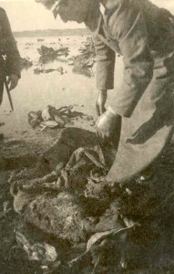 Een Duitse officier onderzoek brokstukken van een vliegtuigwrak op het Wad bij Ameland. Vermoedelijk zijn het brokstukken van de bij de Ballumerbocht op12 maart 1942 neergestorte Whitworth Whitley V Z9227 GE-R. Alle vijf bemanningsleden kwamen hierbij om het leven.